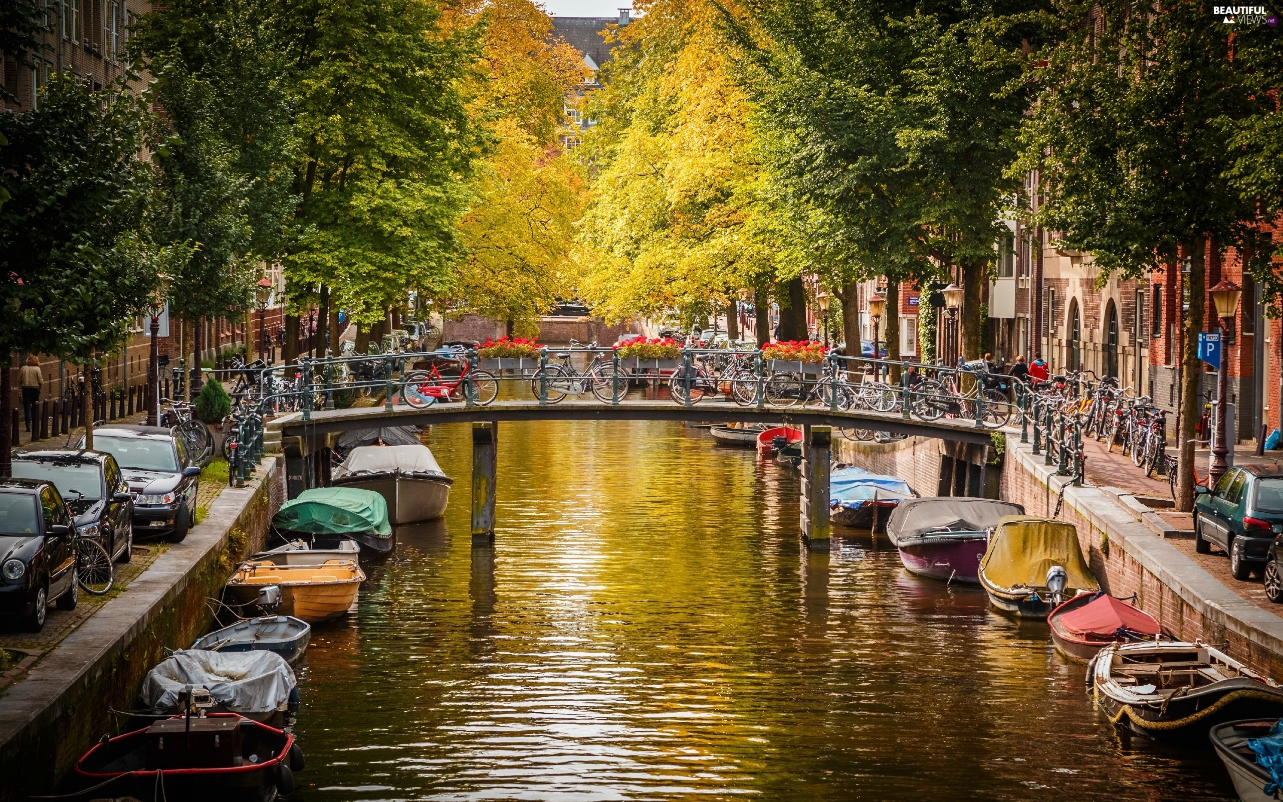Pranverë në Amsterdamn – 4 Ditë – €399/Person