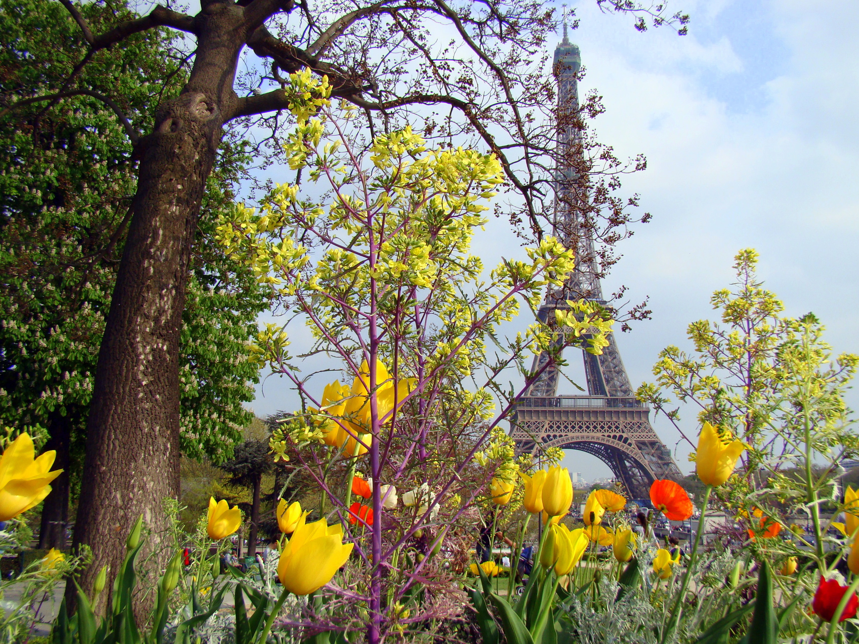 Pranverë në Paris – 7 ditë €349/Person